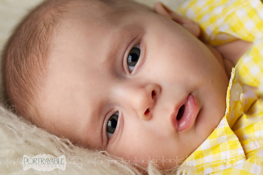 3 month old portrait photographer in central florida