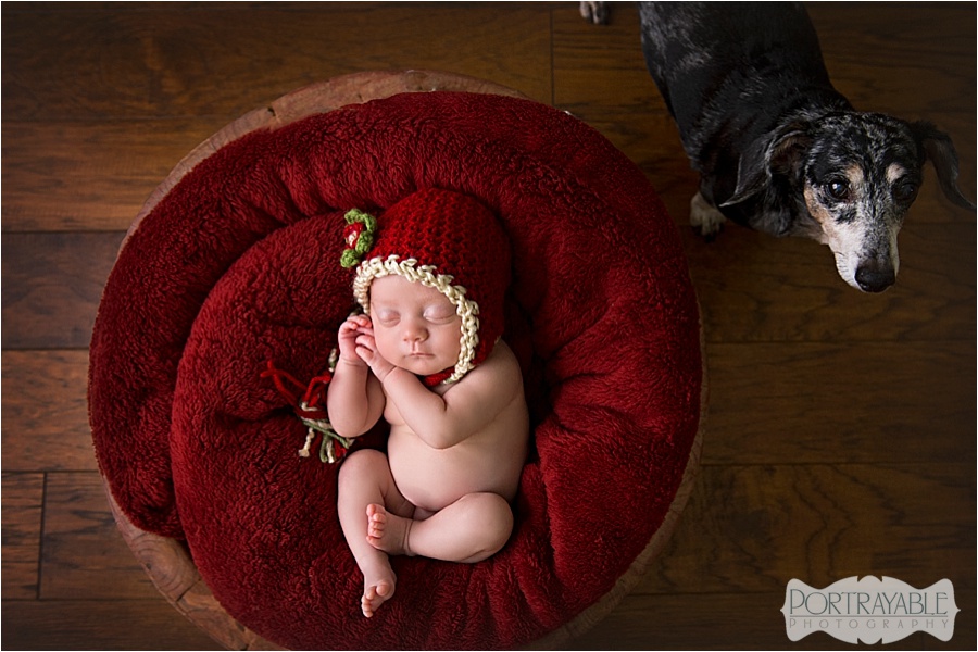 Christmas-newborn-portraits-Fl-newborn-photographer_2425.jpg