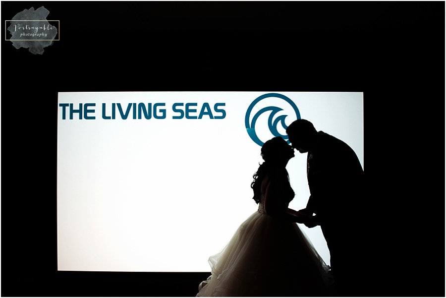 disney-wedding-pavillion-living-seas