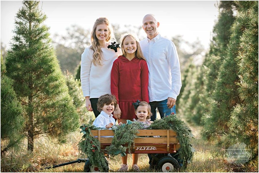 2019-Christmas-tree-farm-orlando