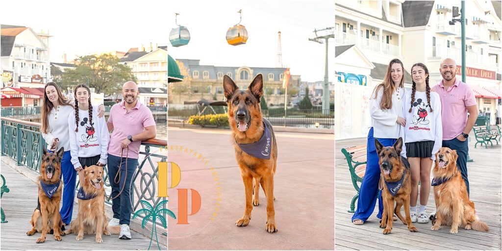 Dog portraits at Disney's beach club resort