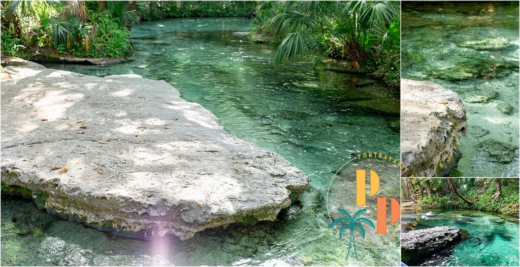 Clear water surrounded by lush greenery perfect place for your proposal at Kelly rock springs in central FL
